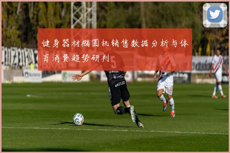 健身器材椭圆机销售数据分析与体育消费趋势研判