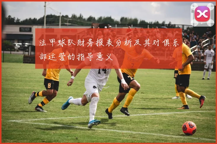 法甲球队财务报表分析及其对俱乐部运营的指导意义