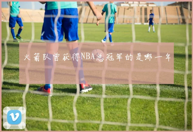 火箭队曾获得NBA总冠军的是哪一年