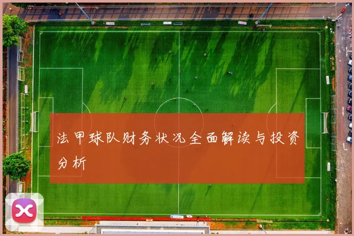 法甲球队财务状况全面解读与投资分析