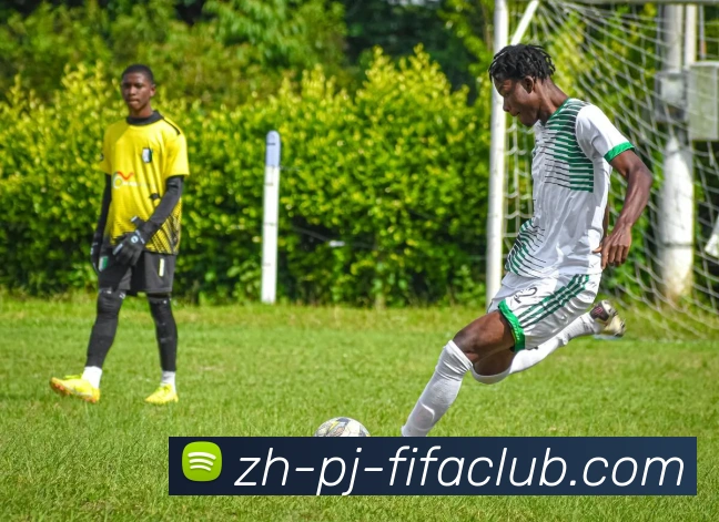 世界杯买球服务体系